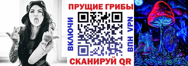 mega рабочий сайт  Малая Вишера  Псилоцибиновые грибы Cubensis  закладка 
